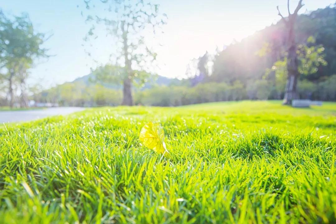 唐诗宋词春天的诗词,宋词里的春天十种绝美十种心动