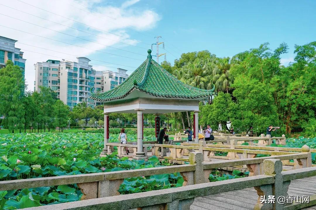 珠海鲜为人知的一面,珠海有名的花园