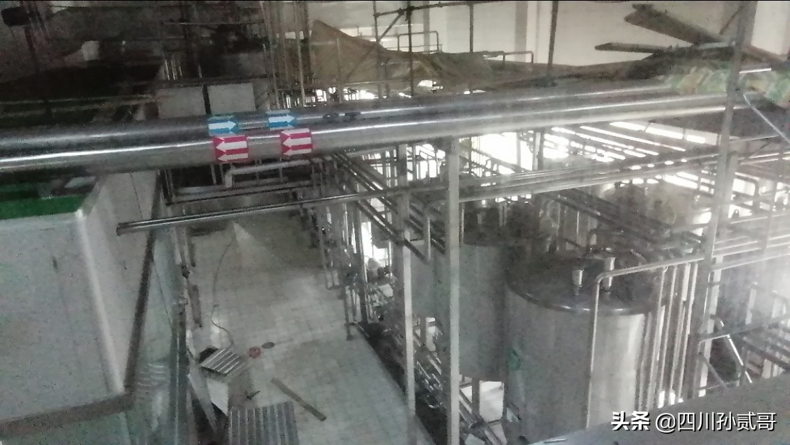 雪宝奶牛场,参观雪兰牛奶工厂心得体会