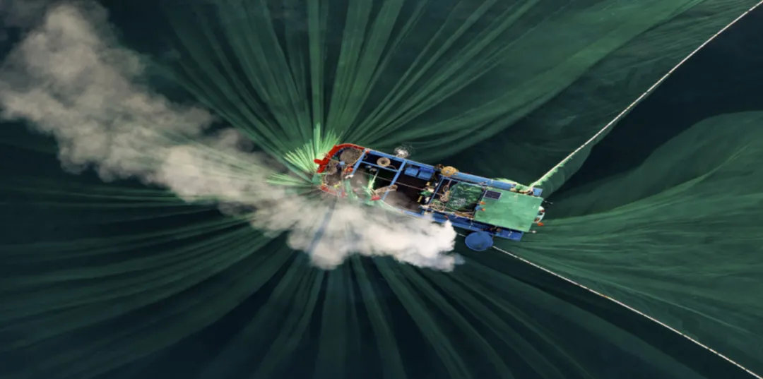 拍照审美图,视觉美学图片