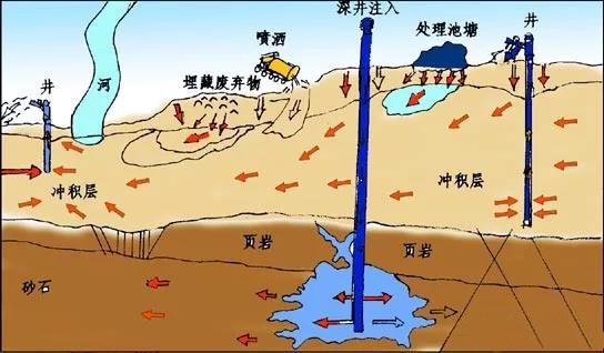 动物疾病的治疗与防治,动物生病的自愈方法