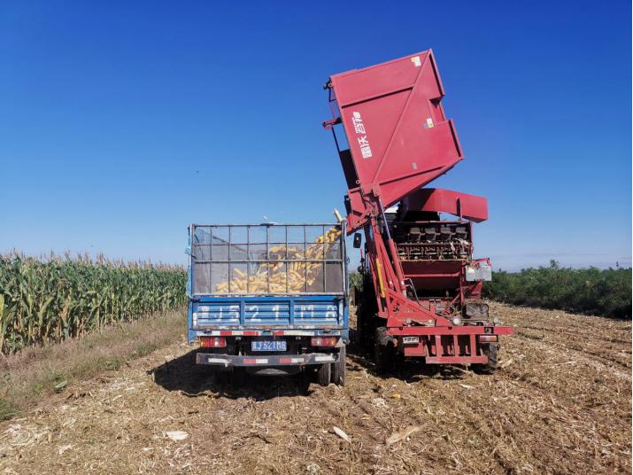 抓六稳促六保打好民生保障攻坚战,抓六保促六稳项目