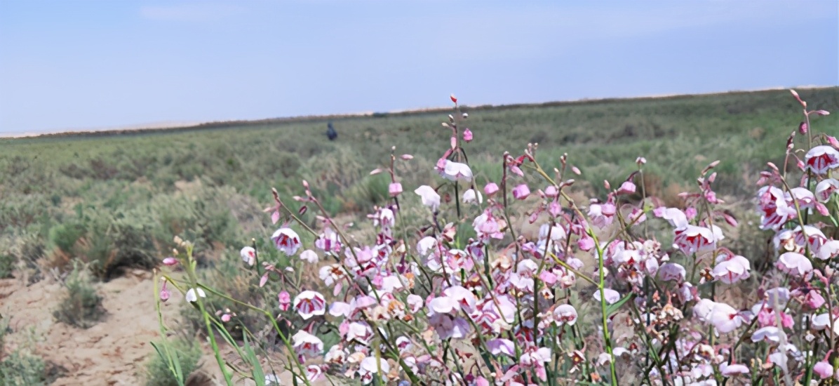 徒步西藏敦煌攻略,徒步走敦煌莫高窟