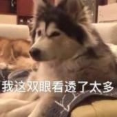 韩女星沦为太子爷吸金利器,被迫做了财阀替死鬼的内幕故事