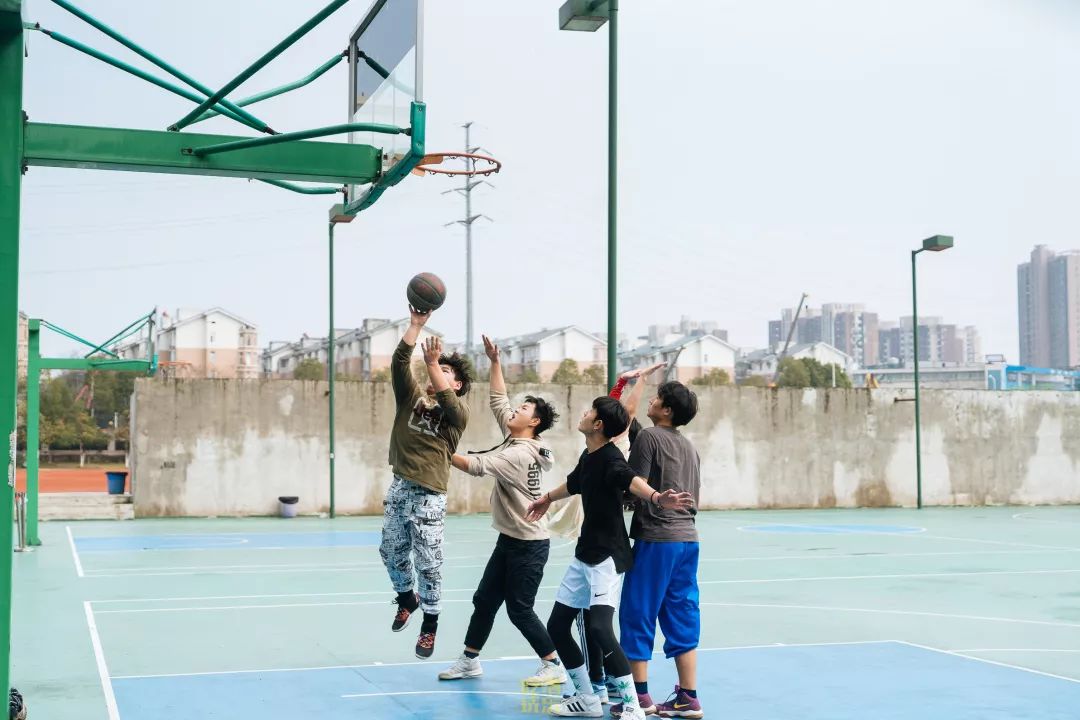 自从藏龙岛有了南延线,我就再没羡慕过别人家的学校!