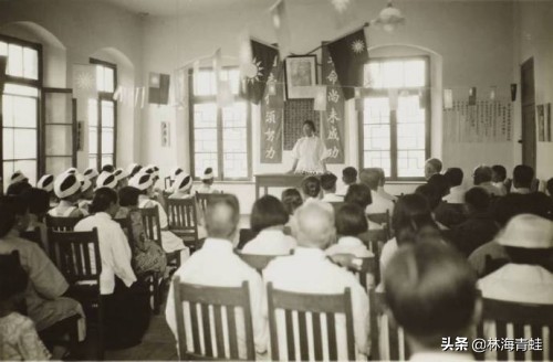 杨崇瑞,杨崇瑞教授