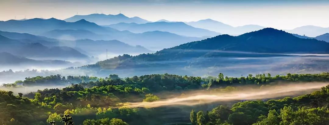 宝丰清雅酒,宝丰酒雅韵