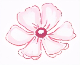 中行智惠存可以随时取款吗,中银智惠存需要几个银行账号