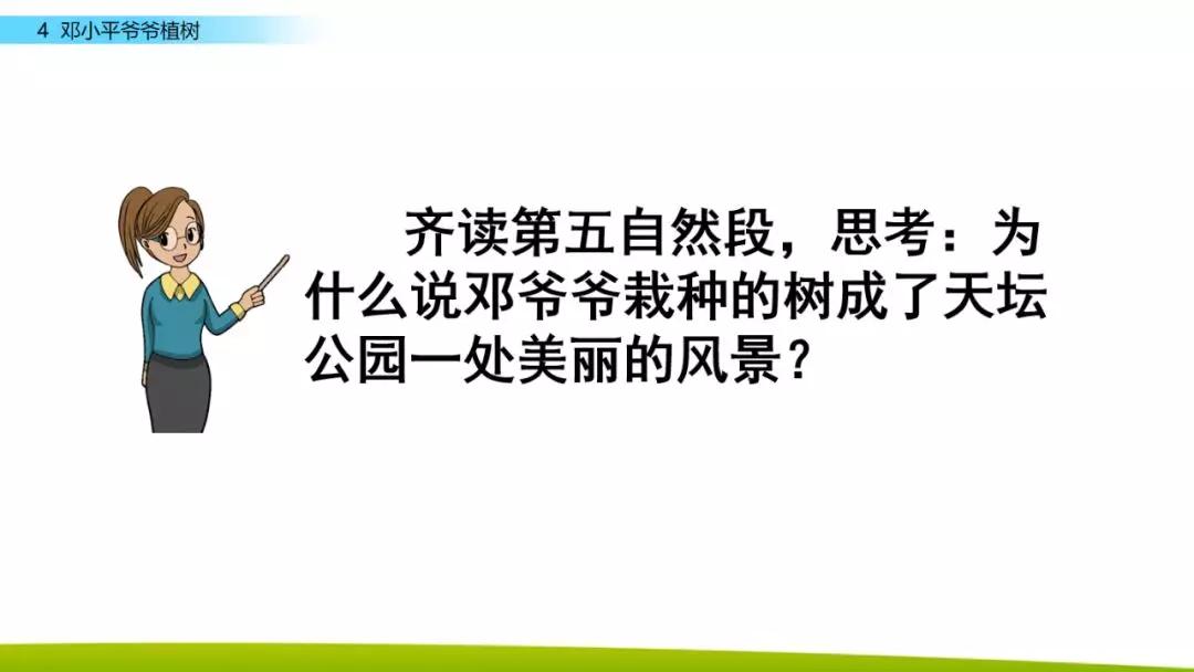部编版二年级下册语文第4课《*小平邓**爷爷植树》知识点+图文讲解