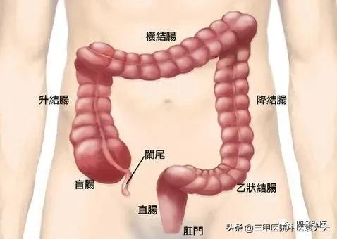 安倍晋三得溃疡性结肠炎怎么治,安倍晋三患溃疡性结肠炎多少年