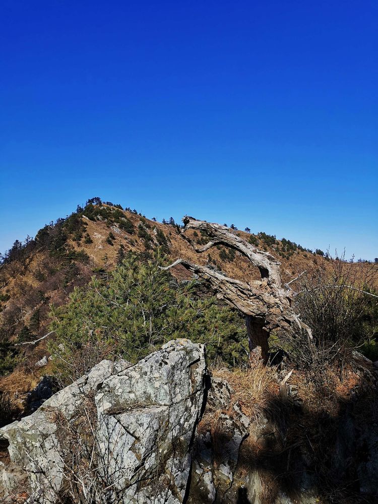 20201101惊悚之行~首阳山大坪梁单日横穿+原返