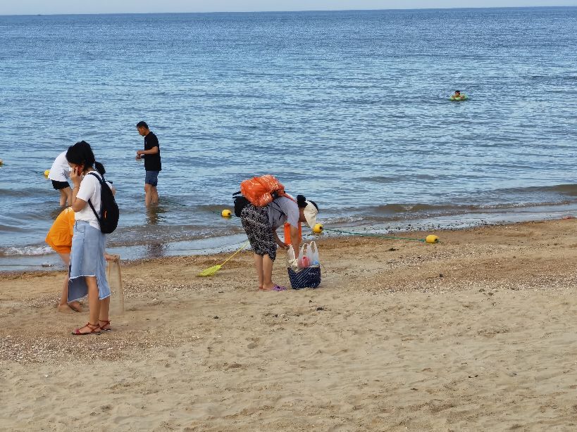 威海和厦门哪个海干净,威海的海干净美丽