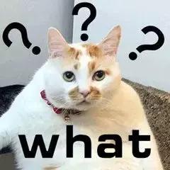 30元的瓷抛砖怎么样,诺贝尔兰蒂斯属于瓷抛砖吗