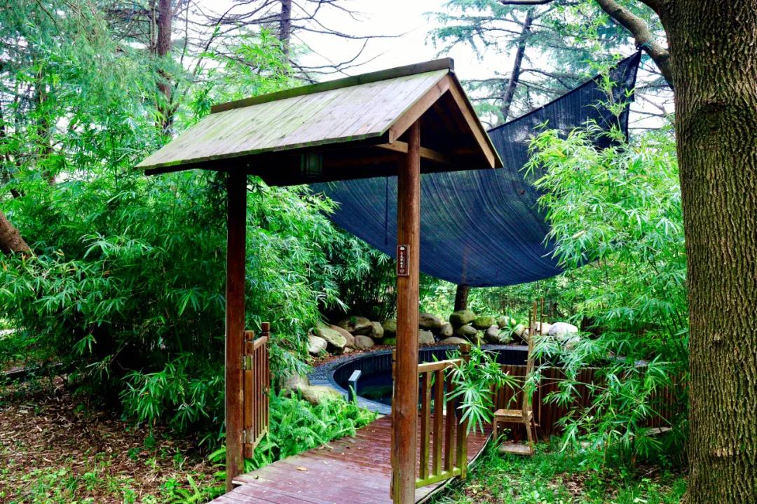 露天温泉小院精品,一房一厅庭院私家温泉