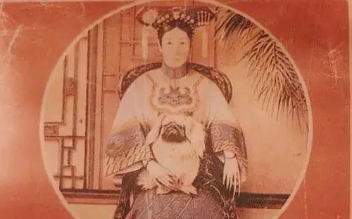 京巴犬为什么是土狗,京巴犬为什么现在没人养了