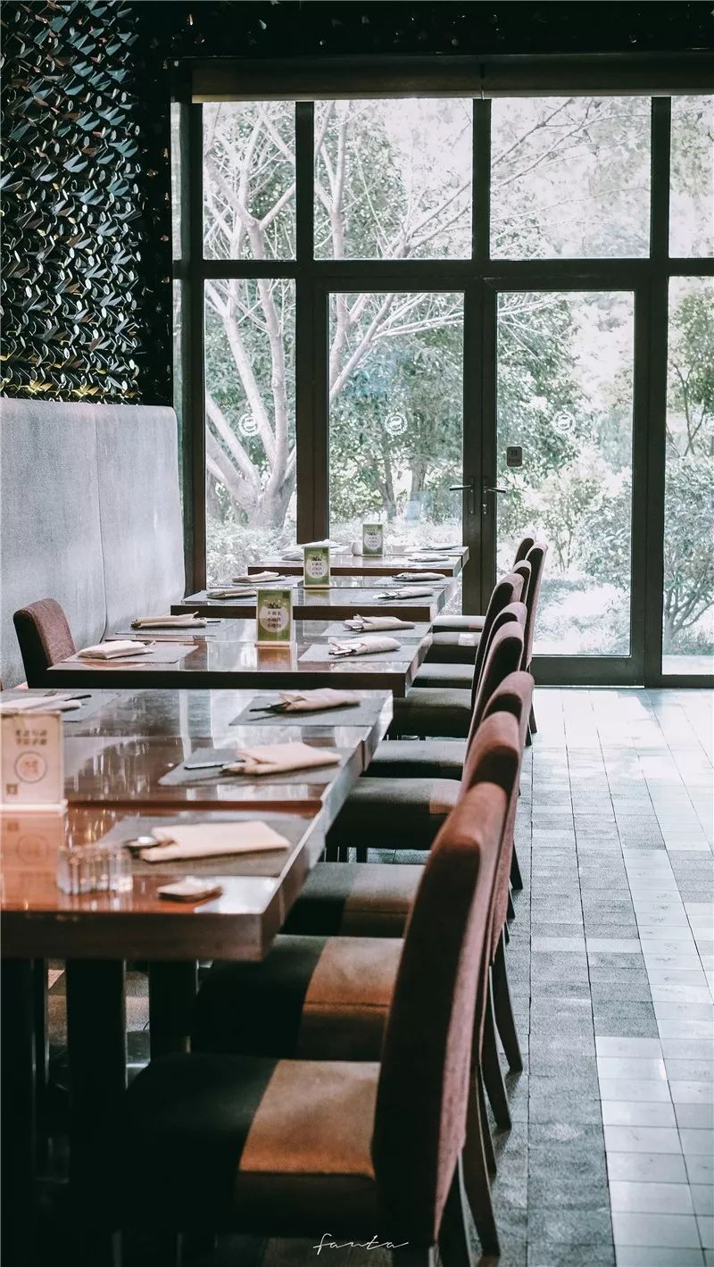 西溪天堂令人沉醉的江南梦境,城市的夜晚江南水乡美如画