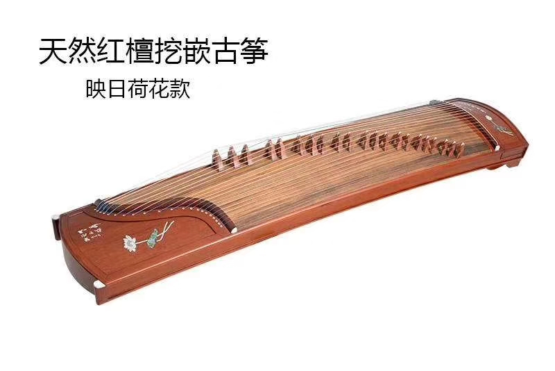 怎样练习古筝摇指加颤音,周望古筝悬腕摇指技巧