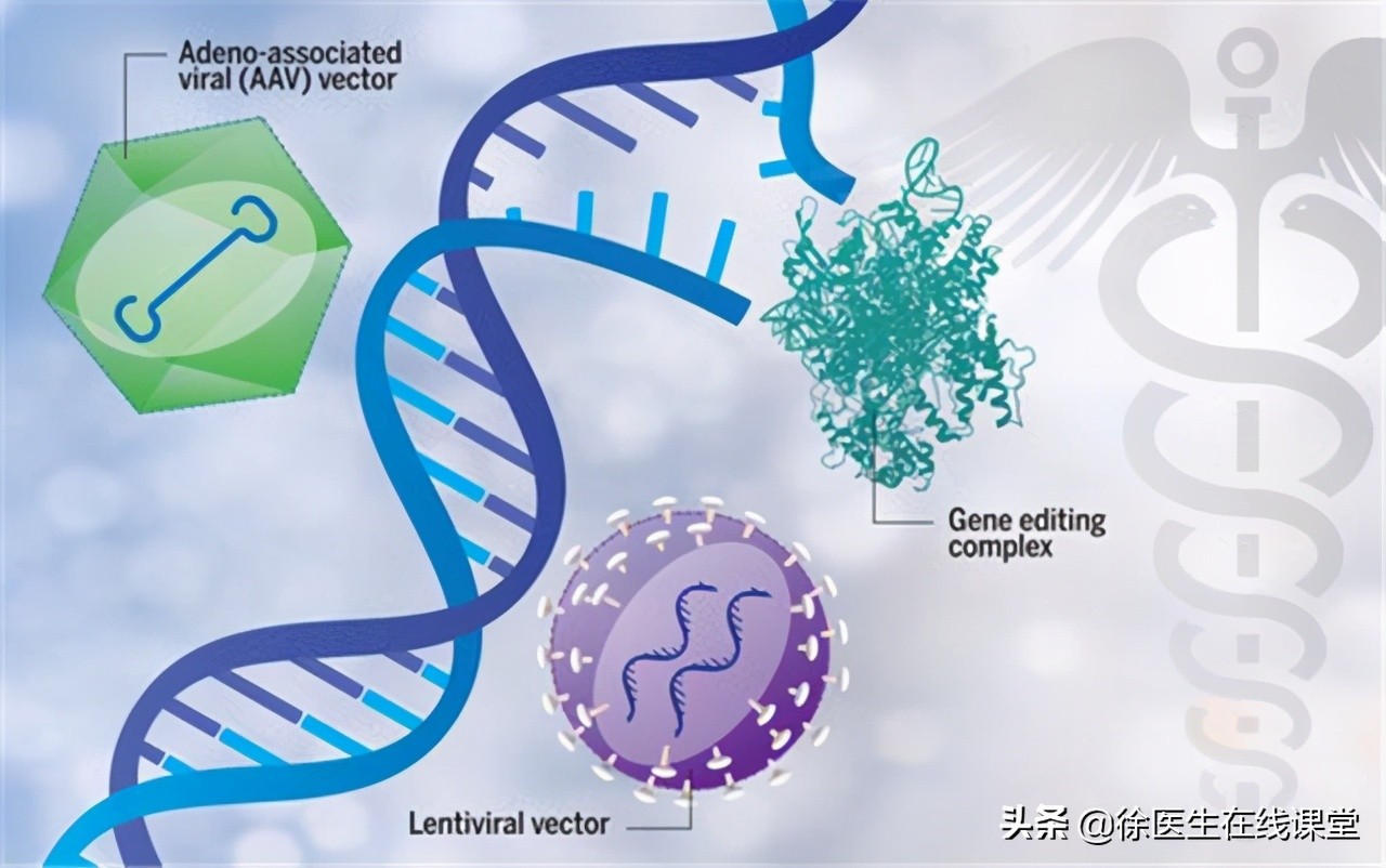 地中海贫血是什么样子,什么是地中海贫血会有什么症状