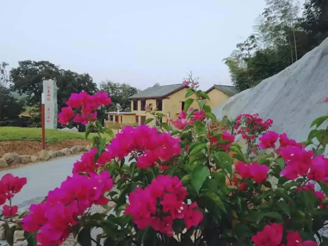 云雾山最近的路线,云雾山二日游