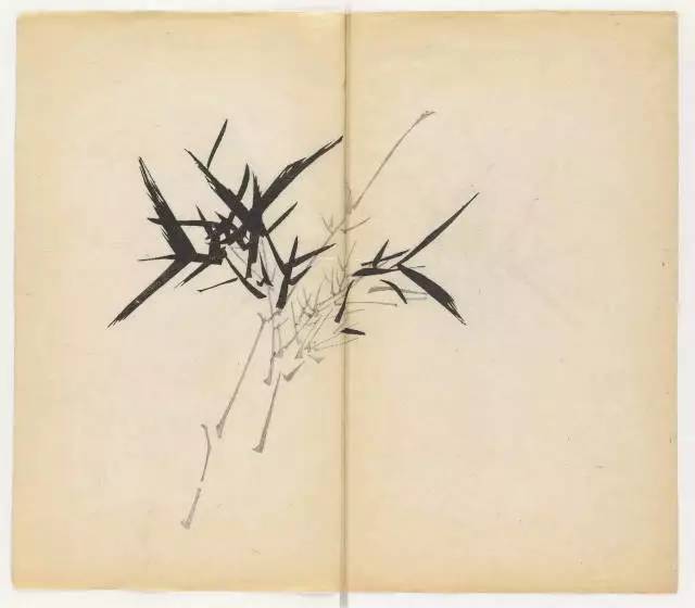 毛笔怎么画兰草,怎么画兰花和书法