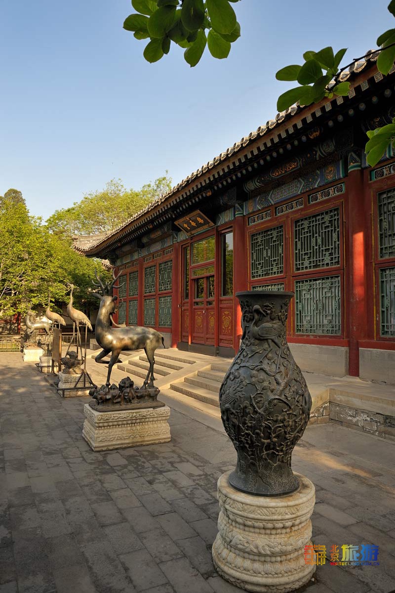 北京哪里的玉兰最好,北京玉兰赏花地