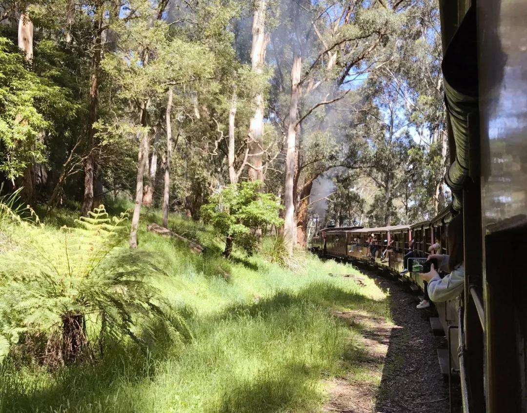 澳洲tafe专业课程,如何申请澳洲tafe职业学校