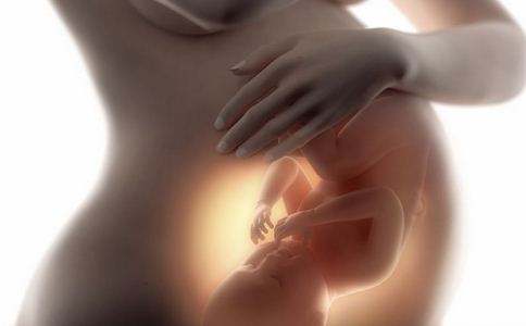 孕14周宝宝踢肚子能感受到哪,宝宝踢妈妈肚子胎动在肚子里