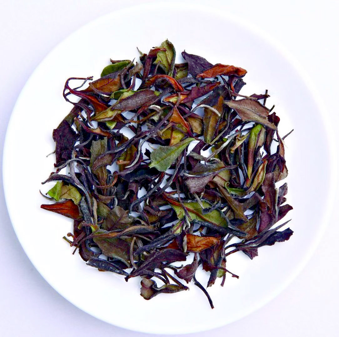 福建省的名茶有哪些,福建哪里茶最多