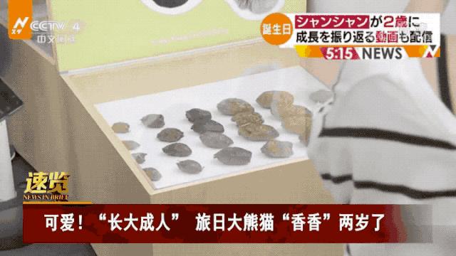 外国人为什么这么喜欢大熊猫呢,外国人究竟有多爱大熊猫