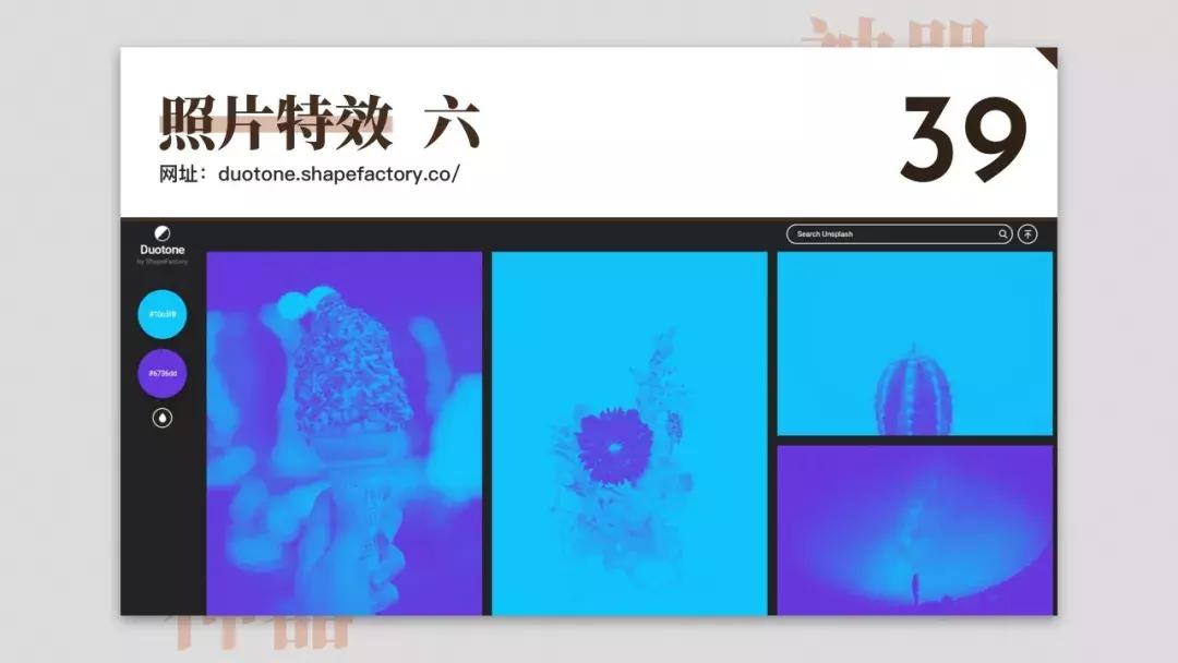 免费设计网站神器,免费设计神器测评网站