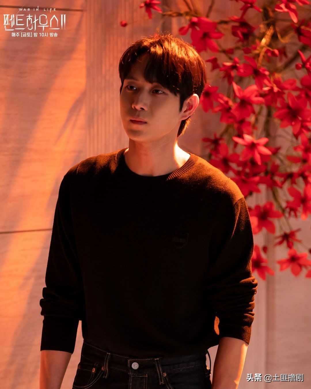 越看越上头的狗血剧,越看越上头的狗血电视剧解说