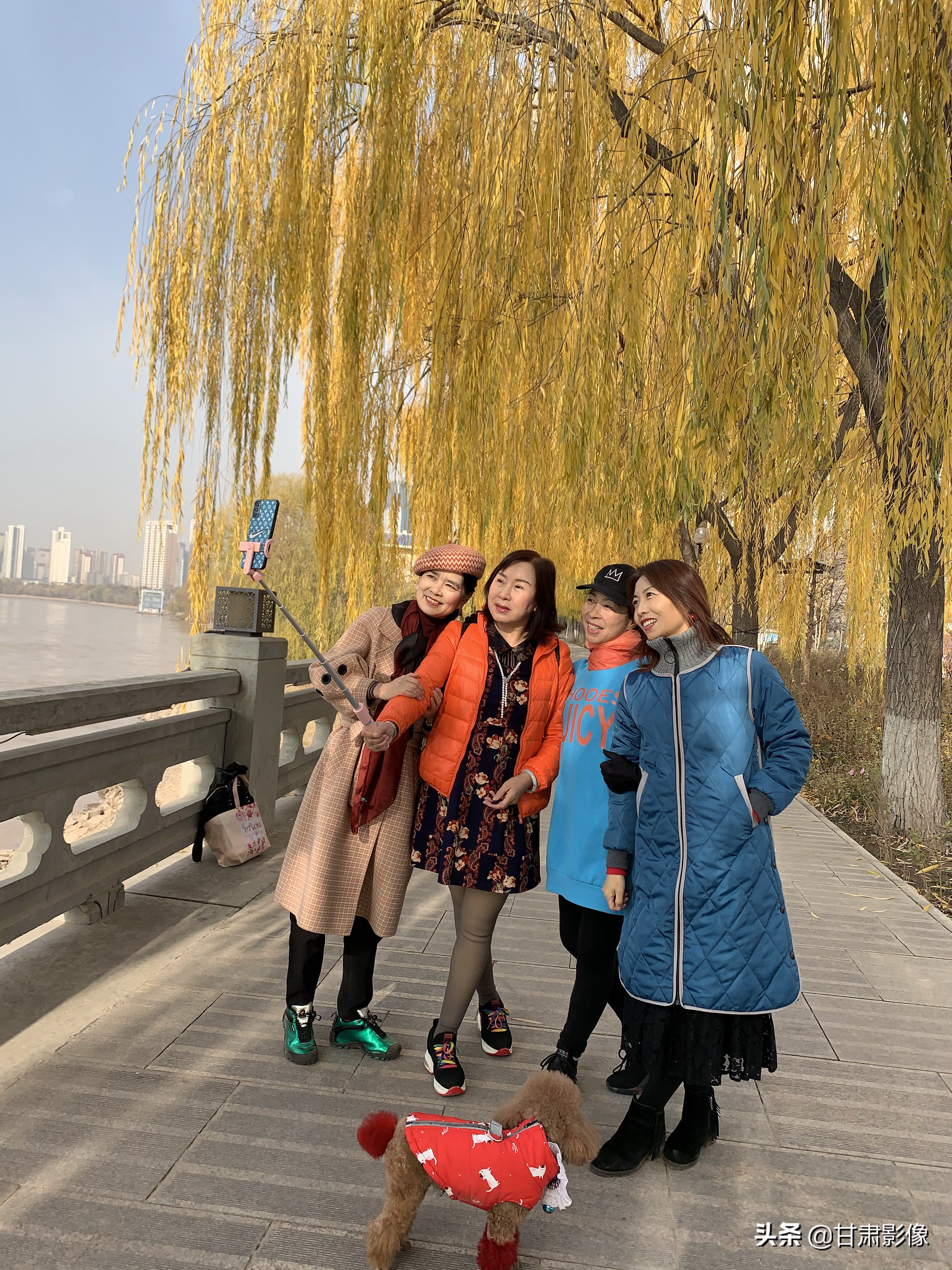 告别2021年的夏天手机摄影,简单手机摄影2020不平凡的一年