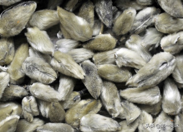 川卤香料中哪个香料最能去腥增香,卤水中增香的香料有哪些品牌好用