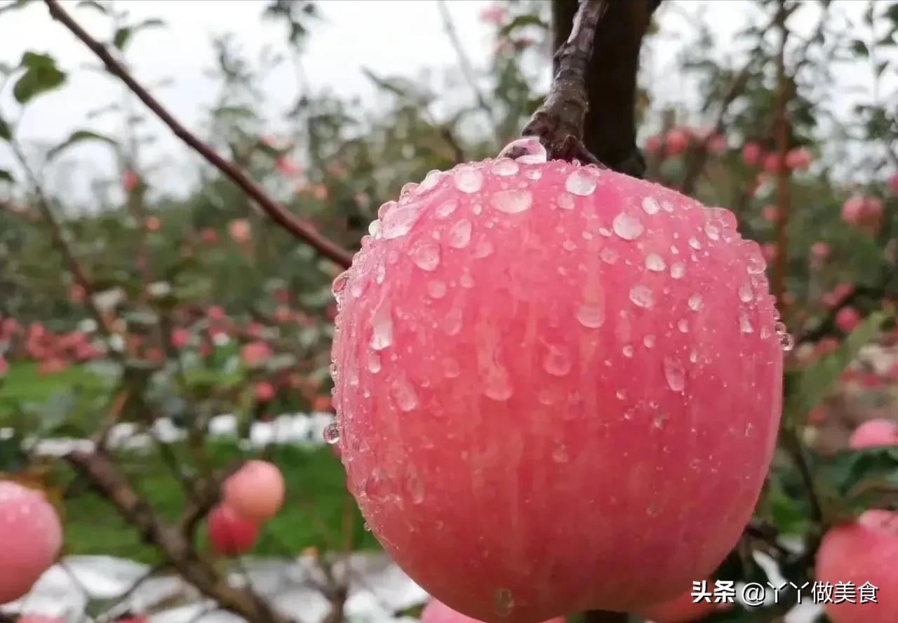 怎样挑的苹果又甜又不坏,怎样挑苹果最新鲜