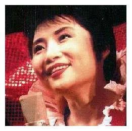 李娜韩红对比,李娜韩红的实力