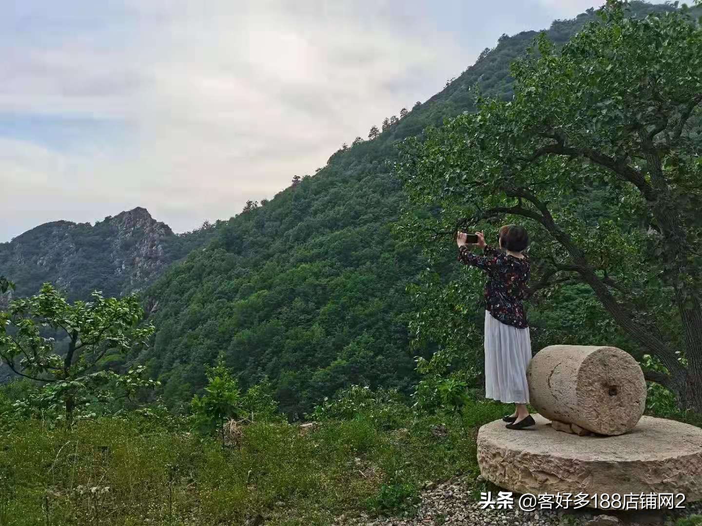 蓟县八仙山梨园春农家院电话,蓟县八仙山山里人家农家院