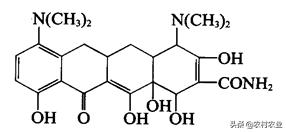 水产动物疾病学,水产动物病害学书