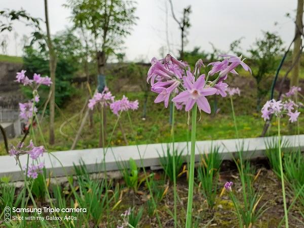 三星galaxys21续航评测,千元机续航王者