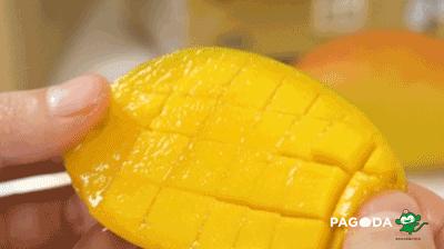 贵妃芒号称是芒果之王皮薄多汁,贵妃芒树上摘下来就能吃的芒果