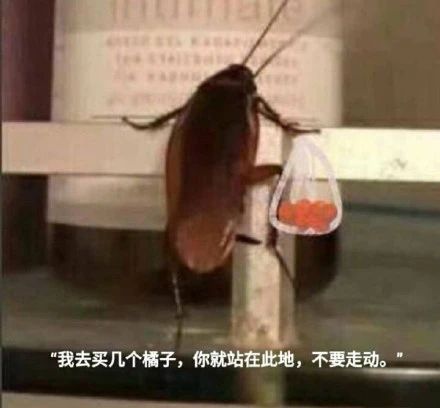 一周没穿牛仔裤的感受,一个星期不穿牛仔裤的感受