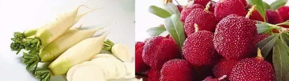 兰溪杨梅正式开摘！最强采摘攻略出炉，五十里杨梅长廊够吃吗？杨梅自由就是现在！