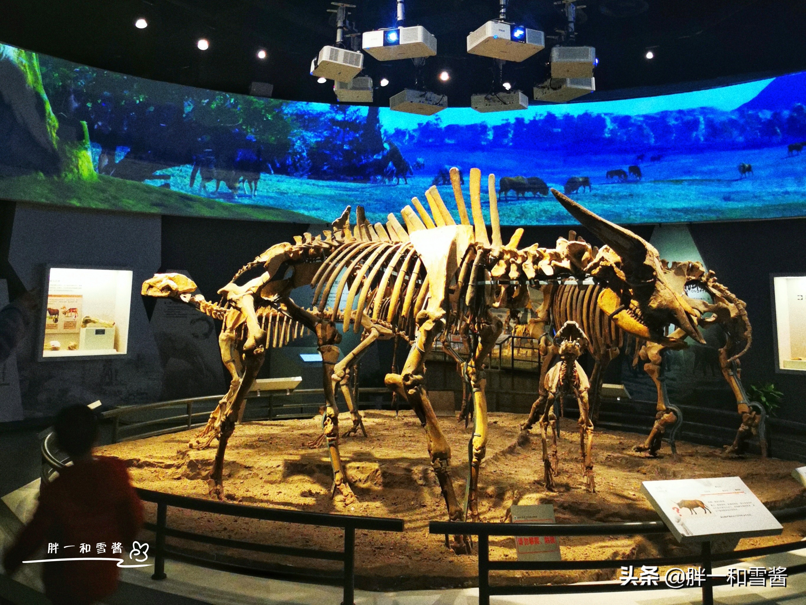 南京汤山温泉文化,南京汤山为什么有温泉