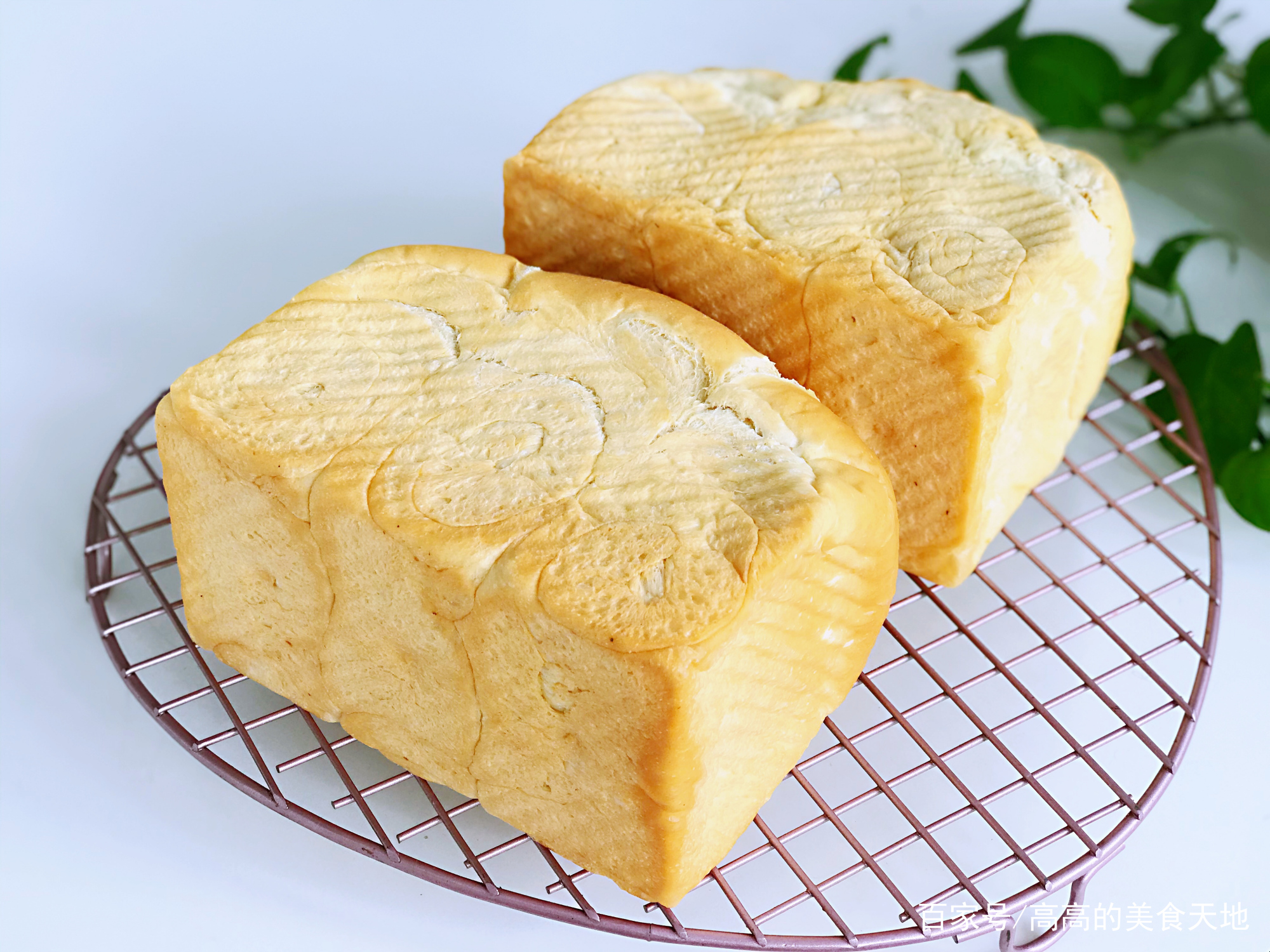 烘焙面包怎么做才松软,自制面包怎么才能不硬