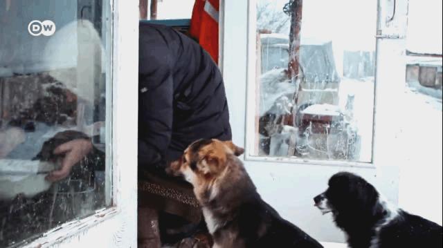 这个俄罗斯女人,反内卷有一套