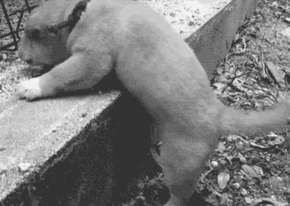 在独自面对生老病死面前，我们根本不屑于谈一个人逛街吃饭这种事