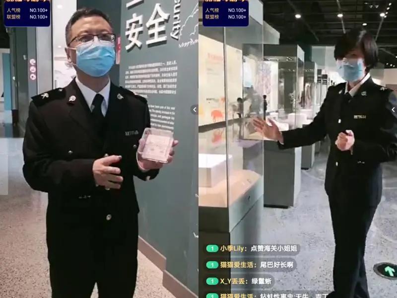 还有人从国外寄来20多只果蝠标本?海淘代购注意了,邮寄蜥蜴、盆景入境,可能会入刑!