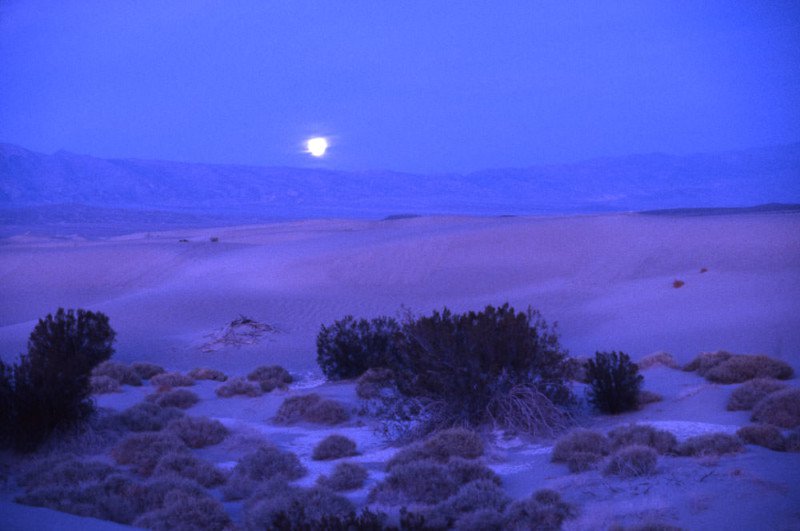 梵高只会画画吗,梵高画画不注重结构