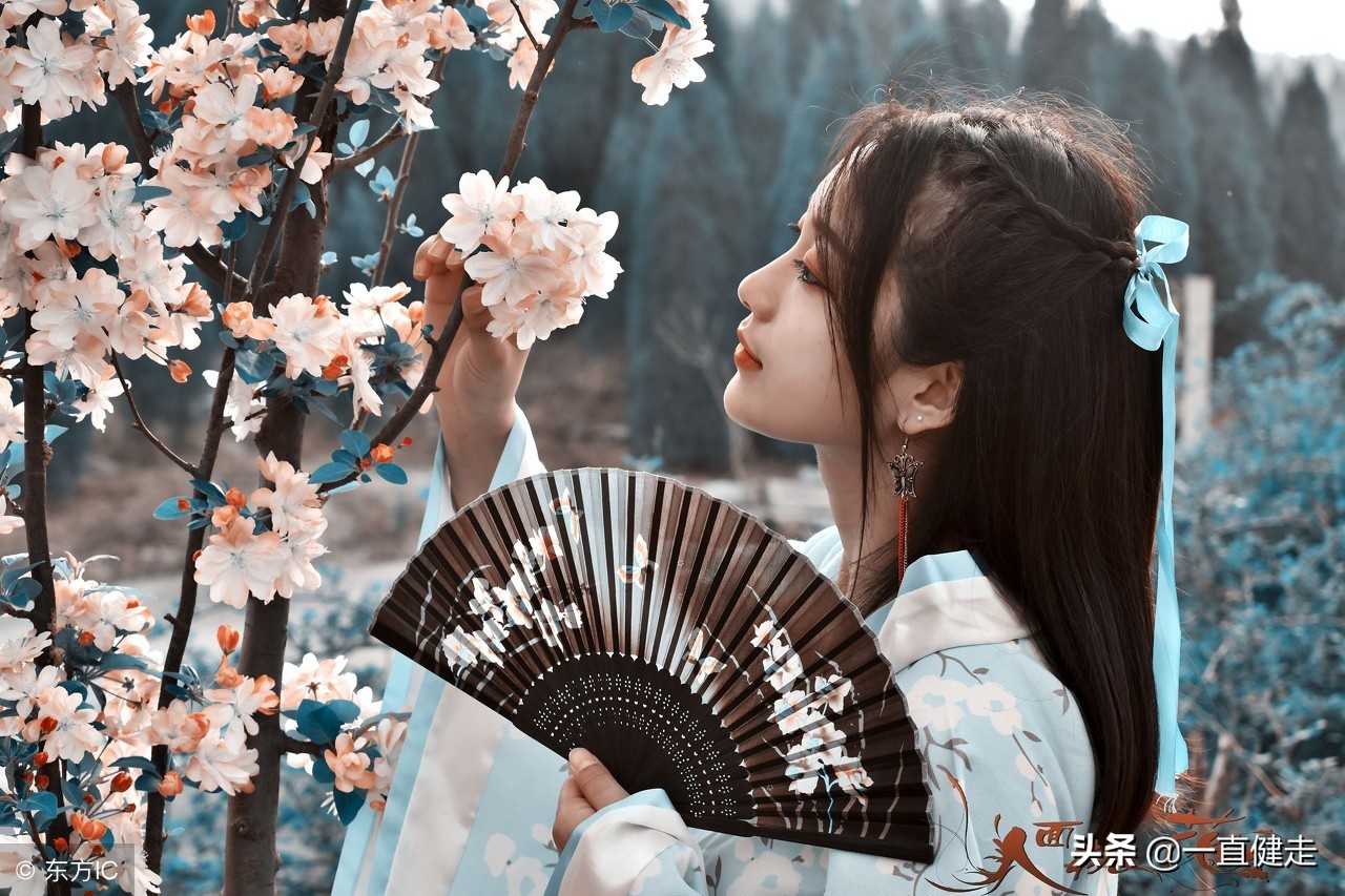 一目了然——《诗经》（256——265）