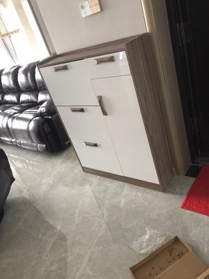 全屋定制翻斗鞋柜制作,定制的翻板鞋柜怎么装门