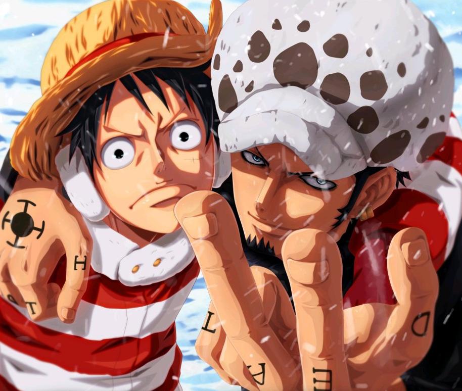 海贼王新世界所有船员,海贼王里的船医